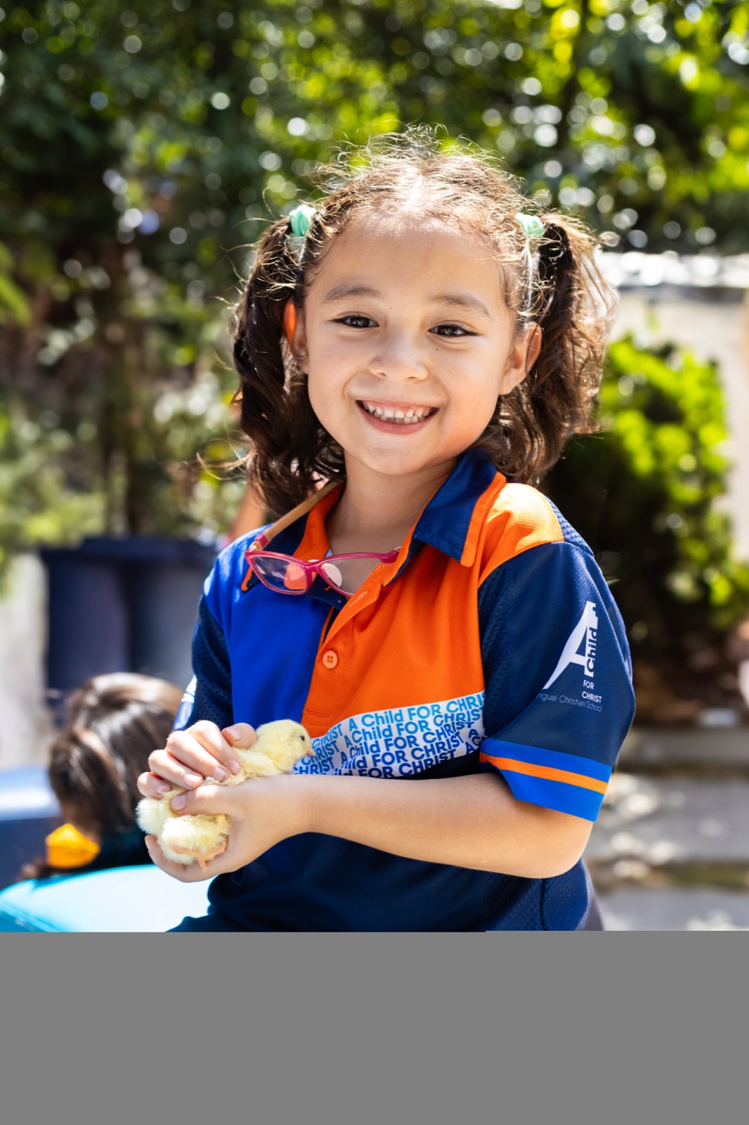 Actividades estudiantiles